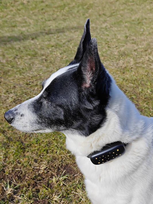 GPS pet tracker PF-53