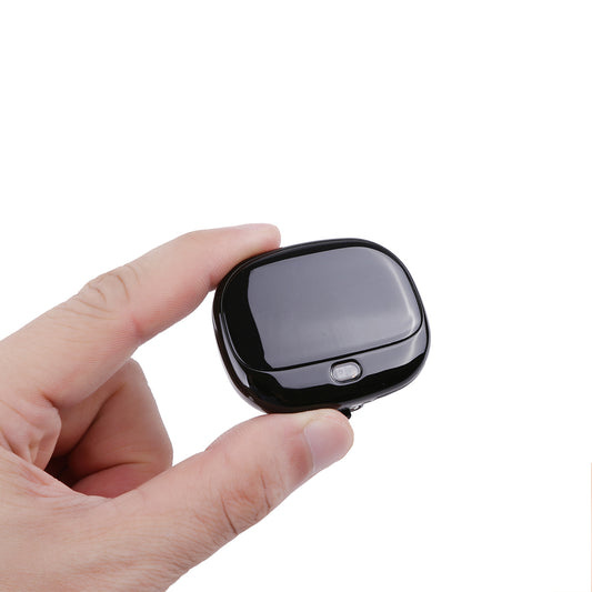 GPS sekiklis gyvūnams PF-43