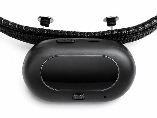 GPS sekiklis šunims PF-41